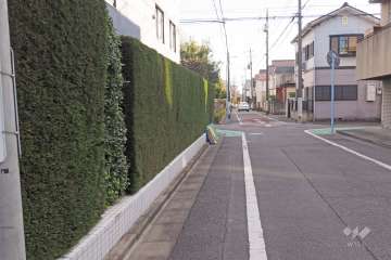 敷地西側の前面道路（北側から））
