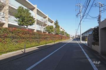 敷地南側の前面道路