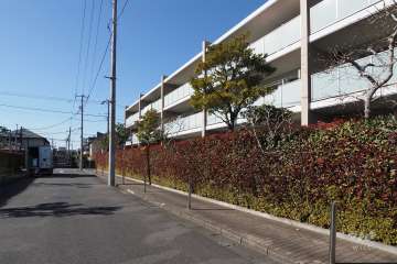 敷地南側の前面道路