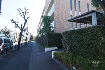 敷地東側の前面道路