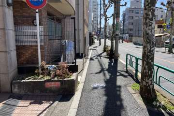 敷地の北西側前面道路（北東側から）