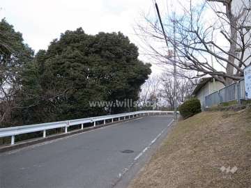 敷地の西側は雑木林が広がっています。