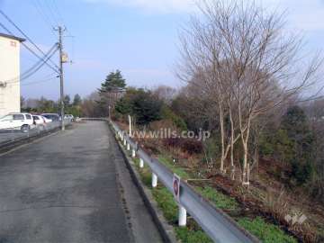 周囲には雑木林が広がり、自然豊か。