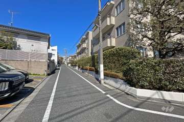 敷地の西側前面道路（南側から）