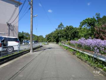 敷地内の通路。すぐ東側には山林が広がっています。