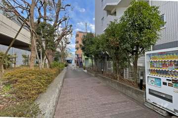 敷地北側の前面道路（西側から）