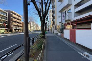 敷地北側の前面道路