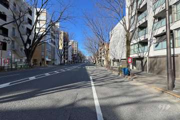 敷地南側の前面道路