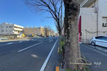 敷地の北側前面道路（西側から）