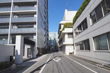 敷地南東側の前面道路　