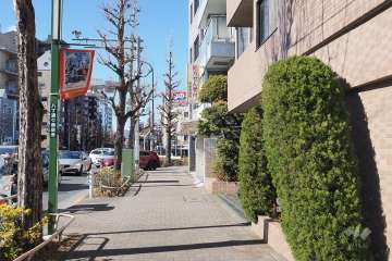 敷地南西側の前面道路は青梅街道です（南東側から）。