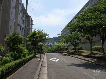 敷地南側の前面道路