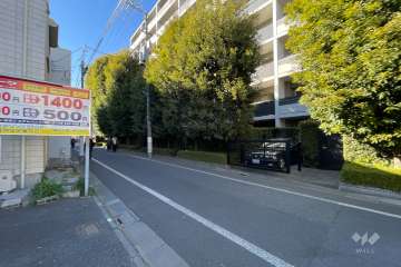 敷地の南側前面道路（東側から）