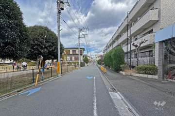 敷地の西側前面道路（南側から）
