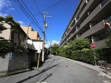 敷地南側の前面道路