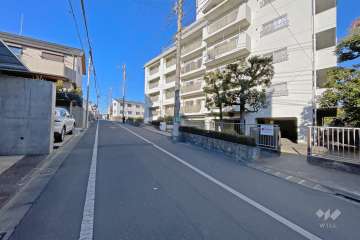 敷地の西側前面道路（南側から）