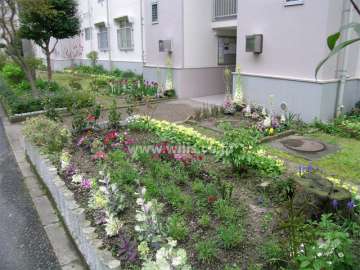 14号棟の花壇