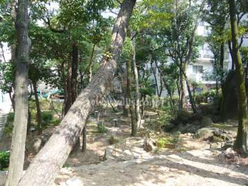 敷地の北側は『芦屋市民センター別館』の林があります。