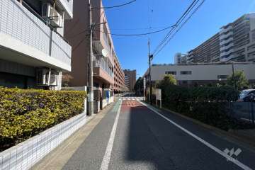 敷地の南側前面道路（西側から）