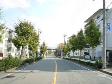 目の前は街路樹のきれいな二車線の通りです。