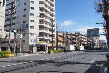 敷地南側の前面道路（西側から）