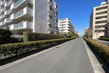 敷地東側の前面道路