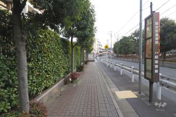 敷地西側の前面道路
