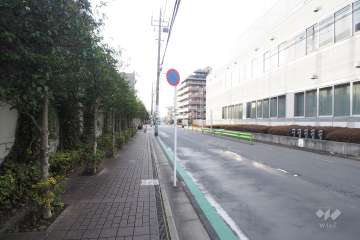 敷地北側の前面道路