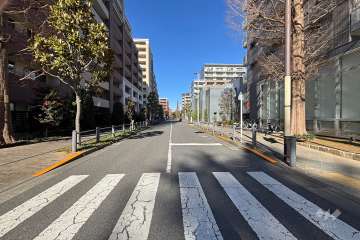 敷地東側の前面道路　