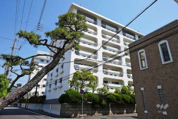 芦屋サンプラザの外観（南西側から）