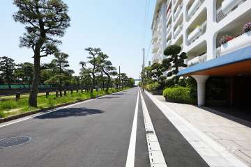 敷地東側の前面道路（北側から）