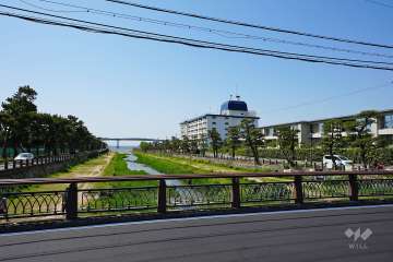 芦屋サンプラザの遠景。目の前は芦屋川です。