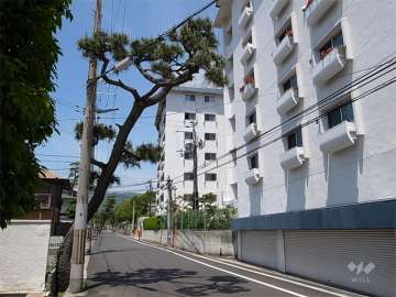 敷地西側の前面道路