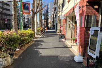 敷地南西側の前面道路