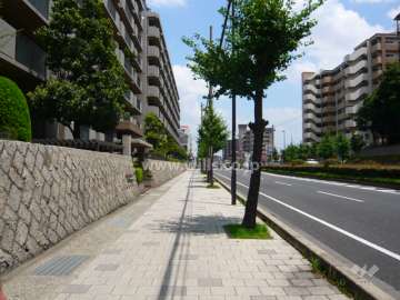 敷地の南側は国道2号線。街路樹がきれいで、歩道もゆとりがあります。