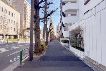 敷地北側の前面道路（西側から）