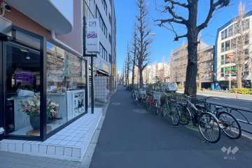 敷地北側の前面道路　