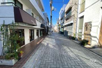 敷地の北側前面道路（東側から）