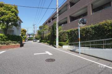 敷地西側の前面道路（南側から）