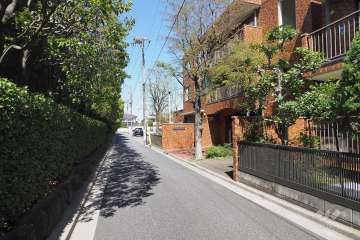 敷地西側の前面道路（南側から）