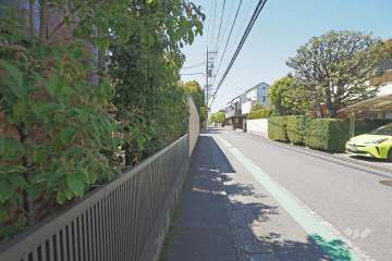 敷地西側の前面道路（北側から）