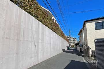 敷地南側の前面道路（西側から）