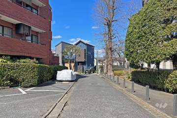 敷地の東側前面道路（南側から）