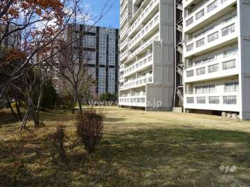 敷地内の緑地スペース