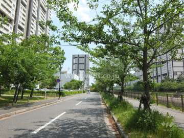 敷地西側の前面道路