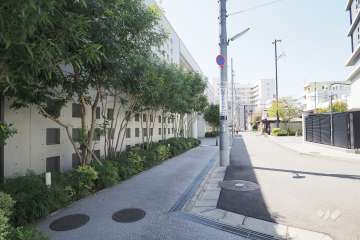 敷地北側の前面道路