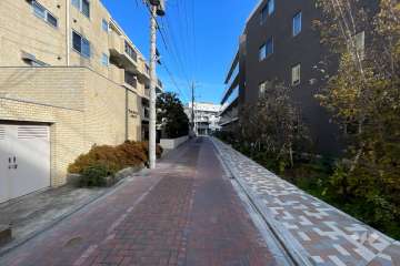 敷地の東側前面道路（南側から）