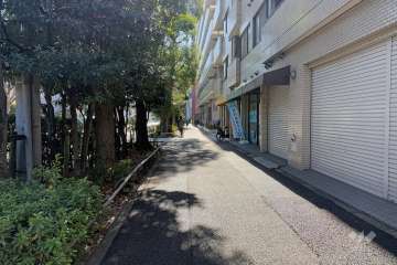 敷地の東側前面道路（北側から）