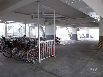 駐輪場と駐車場