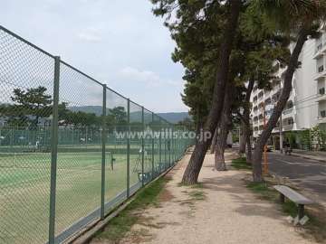敷地の西側前面道路は松並木がきれいで、向かい側にはテニスコートがあります。